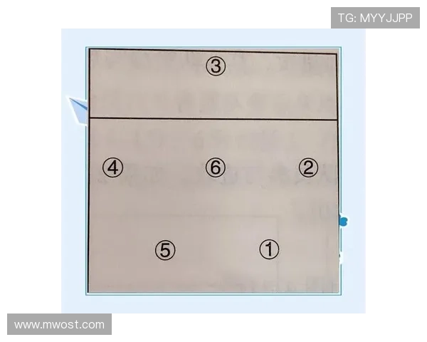 深入分析重庆排球队独特的进攻战术与策略发展